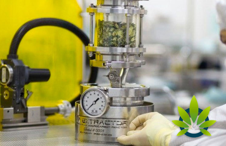 CBD-Extraction-Methods.jpg