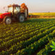 2018 Farm Bill Will Instantly Reshape Hemp, CBD Industry Starting January 1, 2019