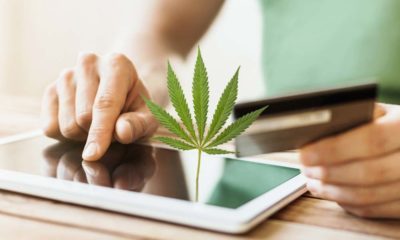 how to find the best cbd company