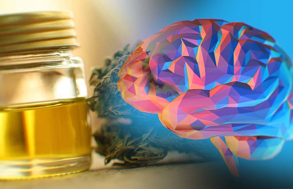 CBD Oil For Memory Benefits