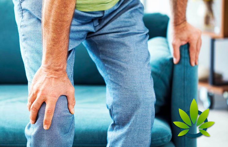 CBD Oil For Knee Pain