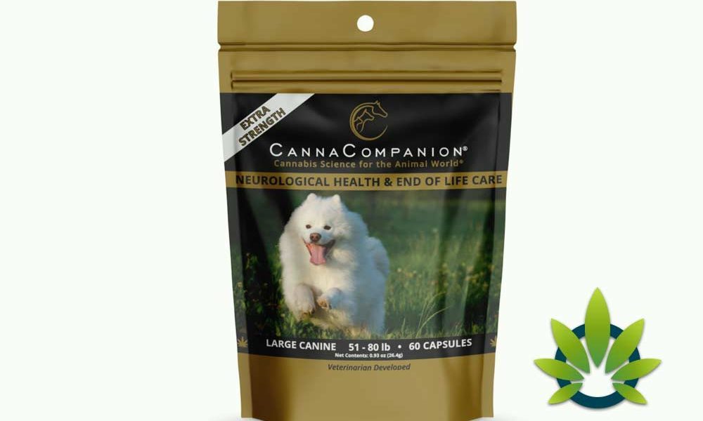 Canna Companion Pet Supplements Whole Plant Hemp Oil for Dogs and Cats