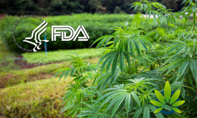 Update Issued By FDA on CBD Rulemaking Status Makes Its Way to Congress