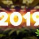 Five Cannabis Industry Predictions for 2019