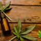 Hemp Oil Health Benefits Vs Side Effects: Proper Use And Optimal Dosage Guide