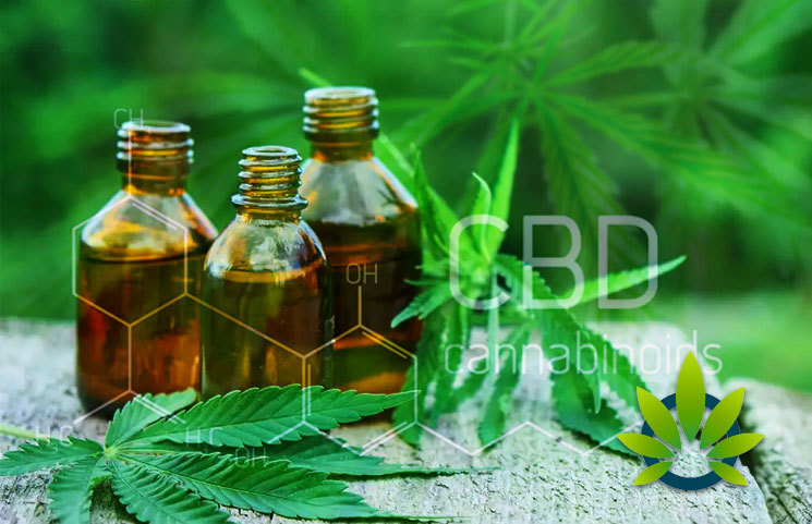 How the CBD Oil (Cannabidiol Cannabis Compound) Popularity May Overtake Marijuana