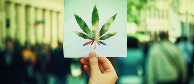 Legalization-Of-Marijuana