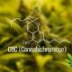 Cannabichromene (CBC): Little Known Facts About CBC Cannabinoid Health Benefits