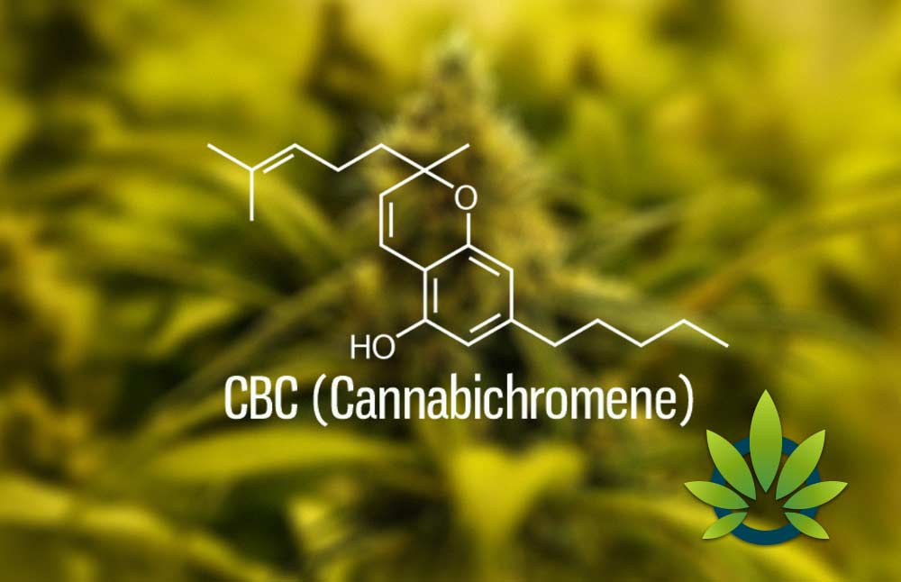 Cannabichromene (CBC): Little Known Facts About CBC Cannabinoid Health Benefits
