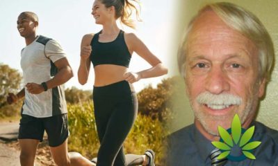 New CBD Outlook: “Endocannabinoids, Exercise, Pain And A Path To Health With Aging” By Bruce A. Watkins