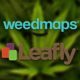 Weedmaps Vs. Leafly