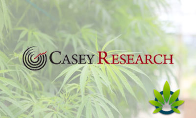 casey research
