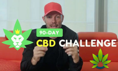 90 day cbd challenge