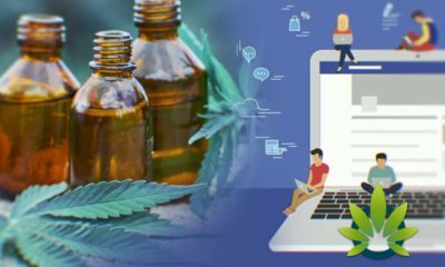 Facebook Backtracks in Wrongfully Flagging CBD Oil and Hemp Businesses, Plans to 'Restore' Pages