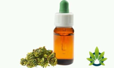 Are CBD Oil Purchases Tax Deductible? How to Categorize Buying Cannabidiol Products