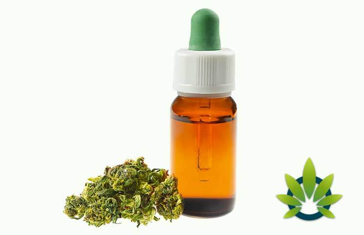 Are CBD Oil Purchases Tax Deductible? How to Categorize Buying Cannabidiol Products