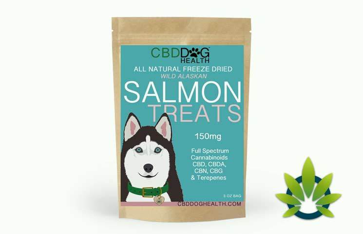 CBD Dog Health