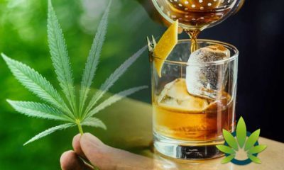 CBD "Gold Rush": How Hemp And Medical Marijuana's Industry Is About To Boom, And Bank
