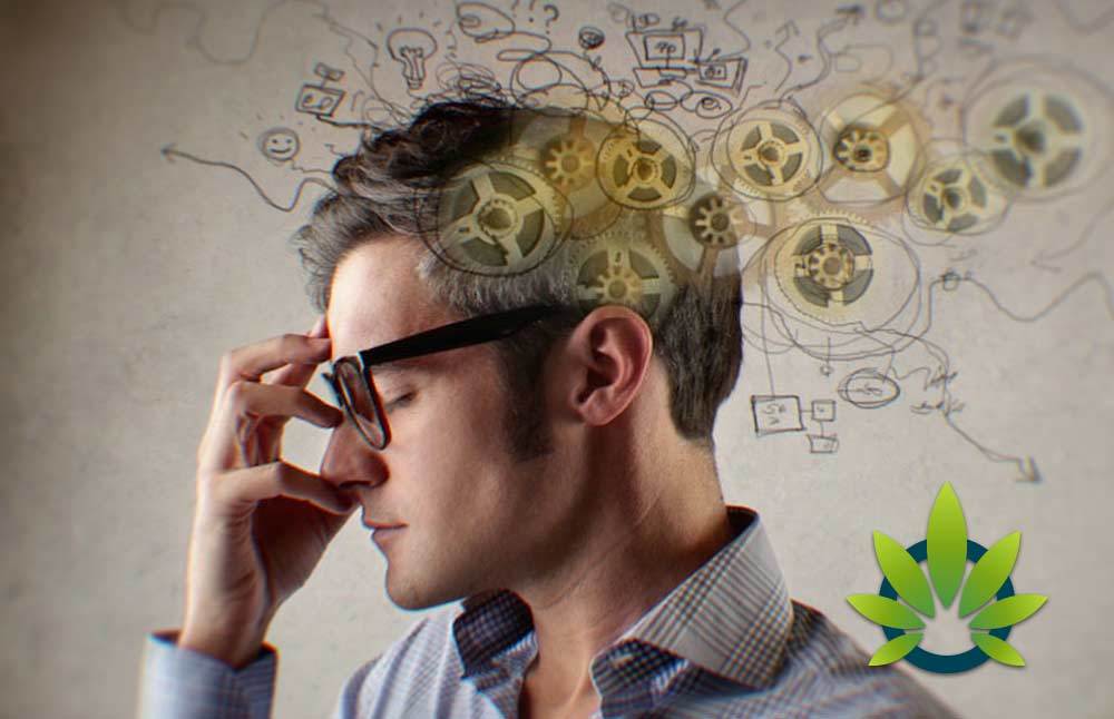 CBD-Has-the-Ability-to-Promote-Better-Focus-and-Concentration