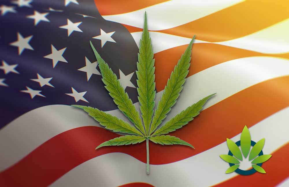 CBD laws in all 50 states and us territories