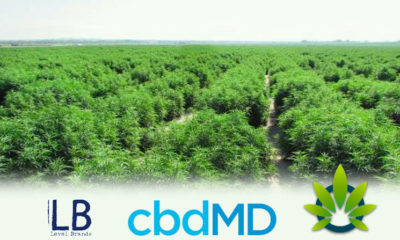 CBD Manufacturer Cure Based Development (cbdMD) Acquired By Level Brands, Valued At $120 Million