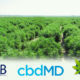CBD Manufacturer Cure Based Development (cbdMD) Acquired By Level Brands, Valued At $120 Million