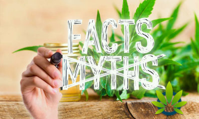 CBD myths debunked