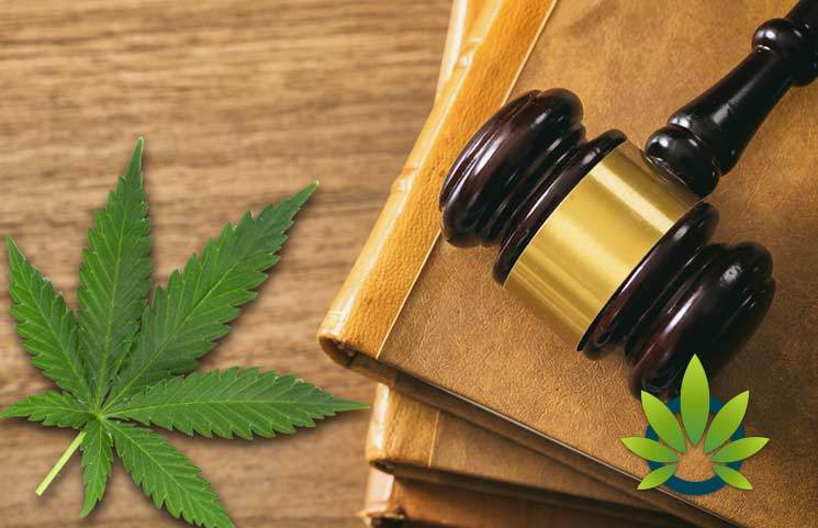 DEA to Take Action on Medical Cannabis Applications