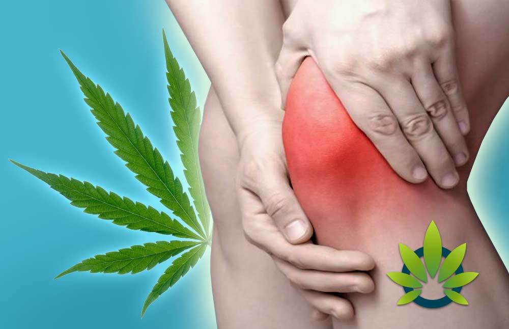 cbd for inflammation