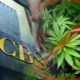 CBS-Rejects-Medical-Marijuana-Advertisement-from-Super-Bowl-Commercials