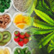 Cannabinoids As Antioxidants And Neuroprotectants