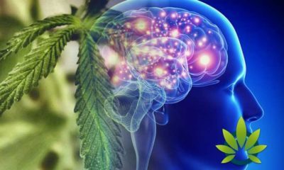 cannabis and epilepsy a 176 year old connection