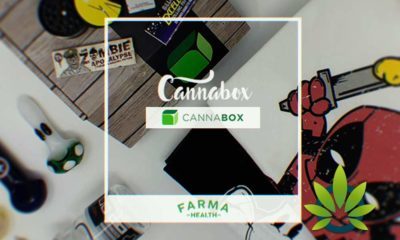 cannabox craft cbd hand picked lab tested