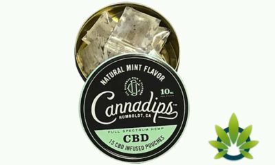 cannadips cbd infused pouches