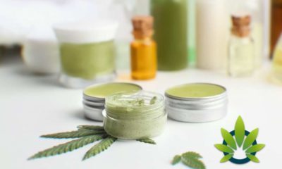 finding a cbd product