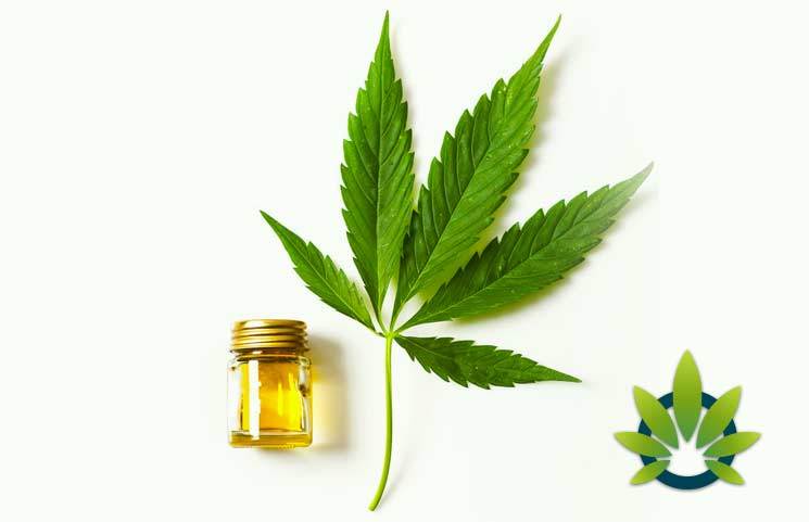 herbalist oils CBD