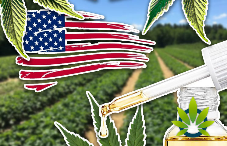 Made-in-USA CBD Oil Hemp Products Always Use Fair Labor Practices in a GMP Facility, Right?