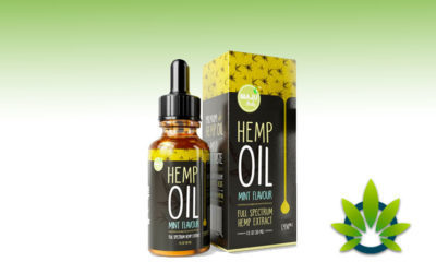 maju herbs hemo oil extract