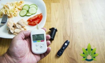 New American Journal Of Medicine And NHANES Marijuana Research Shows Diabetics Can Benefit From Cannabis Use