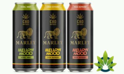 New Marley + CBD Mellow Mood Cannabis-Infused Drinks Announced By New Age Beverages