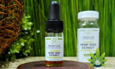 Nectar Leaf CBD Hemp Extract