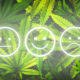 New Drug Use And Health Survey Shows Cannabis Legalization Is Reducing Teenage Marijuana Use