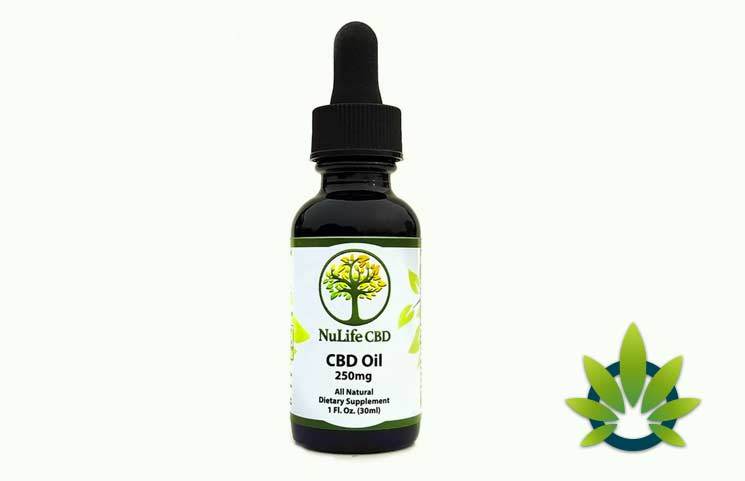 does cbd oil show up in drug test