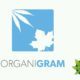 Organigram Secures Agreement With Industrial Research Company 1812 Hemp, Locks In Long-Term CBD Supply