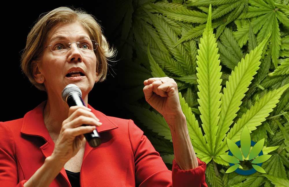 2020 Presidential Contender Elizabeth Warren Supports Medical Marijuana