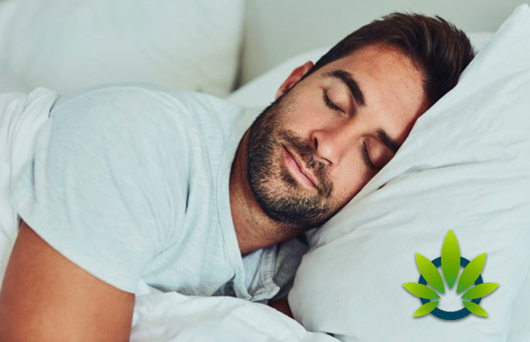 CBD Oil Vs Melatonin Natural Sleep Aids