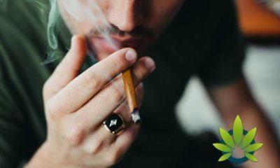 New Marijuana Study Indicates CBD Might Increase the Psychoactive Effects of THC
