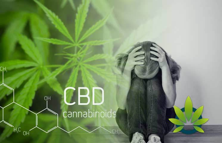 CBD For Mental Health Disorders: