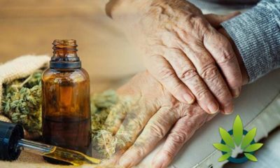 Top 10 CBD Oil Health Benefits for Older-Aged Senior Citizens: How Cannabidiol Effects the Elderly