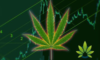 Top 10 Cannabis Market Forecasts for 2019: What to Watch for in the Marijuana Industry This Year
